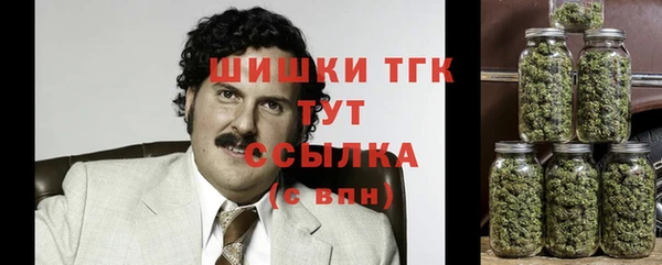 хмурый Белокуриха
