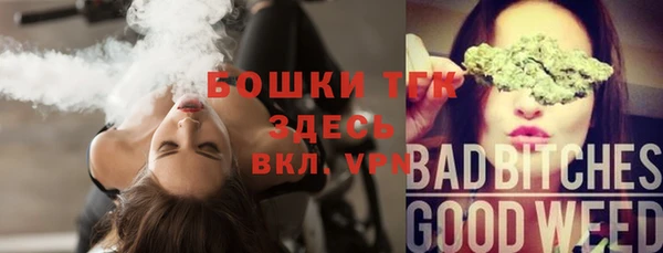 хмурый Белокуриха