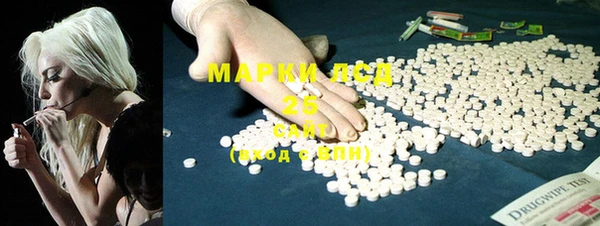 хмурый Белокуриха