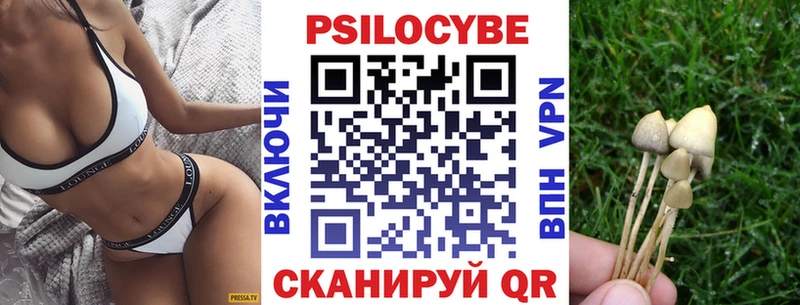 Псилоцибиновые грибы Psilocybe  Демидов 